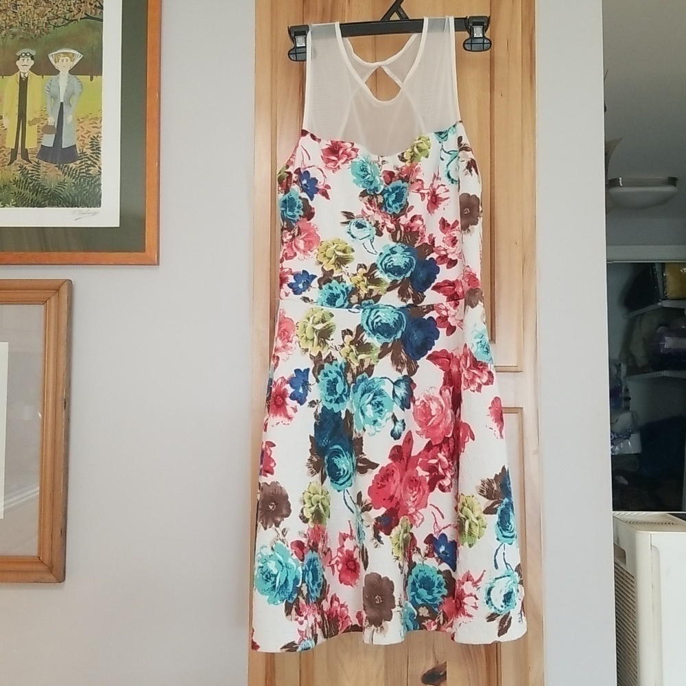 Floral Dress Off Brand Size Large Back Cut Out Colorful and Feminine